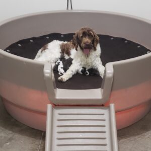 Samantha's January '26 Litter